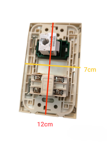 Omni 2 gang LAN and telephone outlet with beige plastic mounting plate showing screw terminals