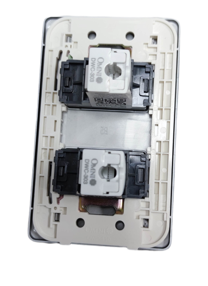 Omni 2 Gang LAN Outlet with Plate showing dual keystone modules and white mounting frame