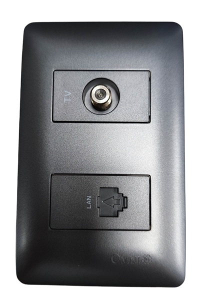 Omni graphite LAN and cable TV outlet wall plate with coax TV connector and covered RJ45 LAN port