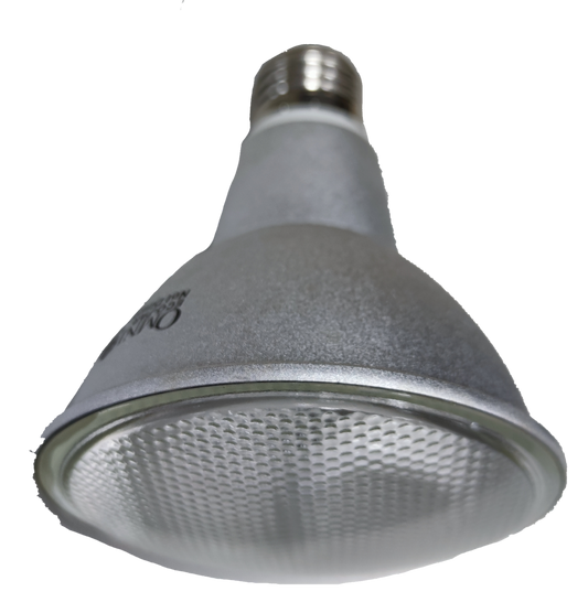 Omni Par 30 15W Daylight CFL E27 220V compact fluorescent bulb with textured glass cover