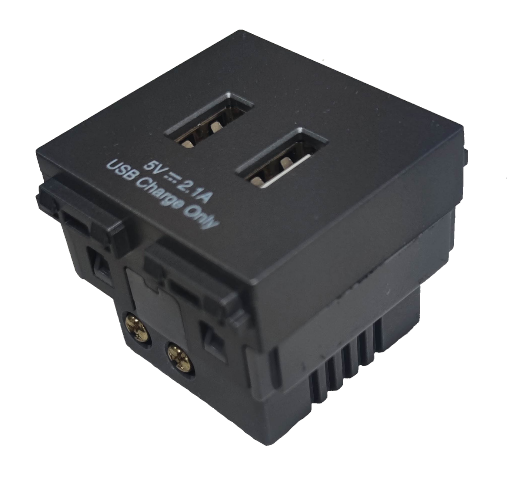 Omni USB wall outlet 2 gang with dual USB ports for convenient charging options