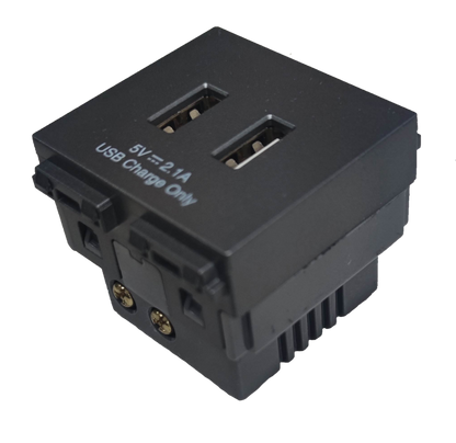 Omni USB wall outlet 2 gang with dual USB ports for convenient charging options