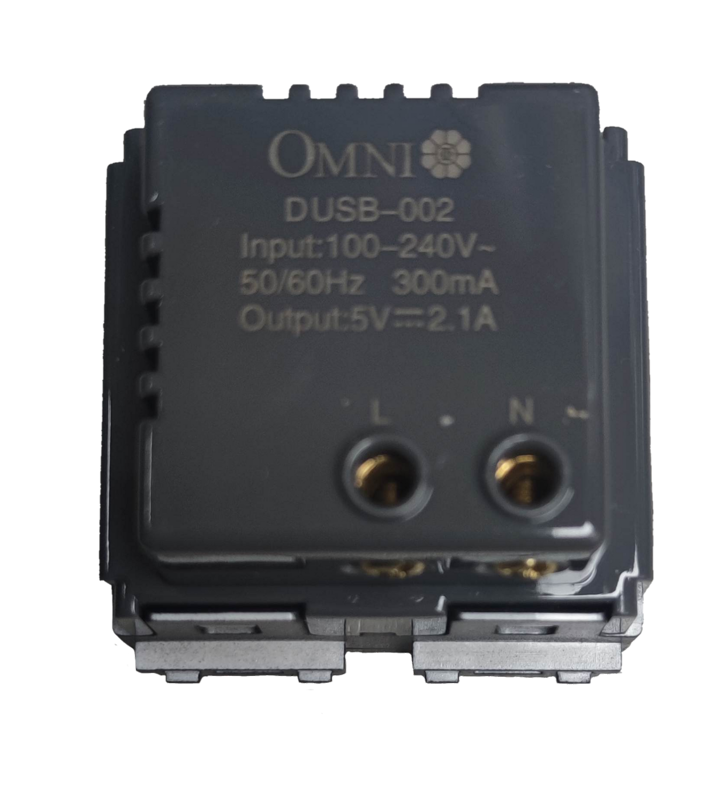 Omni USB wall outlet 2 gang with input range 100-240V and dual USB output