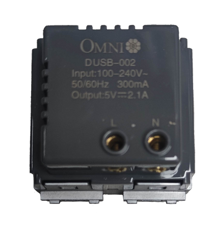 Omni USB wall outlet 2 gang with input range 100-240V and dual USB output