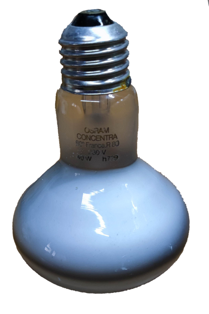 Electx Electrical Supply 40W Spot Light R80 E27 220V incandescent bulb with silver screw base