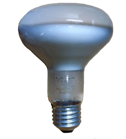 Electx Electrical Supply 40W Spot Light R80 E27 220V incandescent bulb with frosted glass and screw base