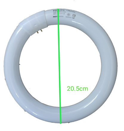 Philips Fluorescent 22W Circular Tube Daylight 6500K white ring light showing 20.5cm diameter measurement