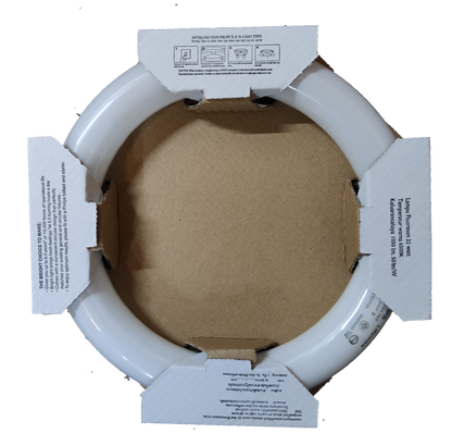 Philips 22W Circular Tube Daylight 6500K fluorescent tube top view in cardboard protective packaging