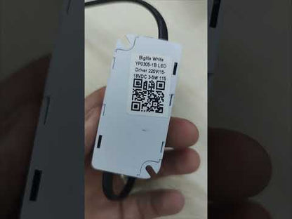 Biglite LED Driver 3-5W Input 180-240V Output 15-18VDC 300mA YP0305-1B
