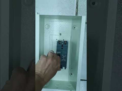 Schneider 40A 2Pole 10Kaic 220V 100AF Industrial Circuit Breaker MCCB Molded Case Circuit Breaker with Nema 1 Enclosure EZC100H2040