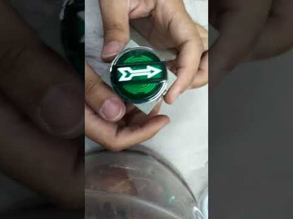 Auspicious Illuminated Selector Switch 22mm Green 2 Position 3A 220V