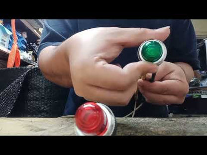 Auspicious Pilot Lamp 25mm Neon Light 220V