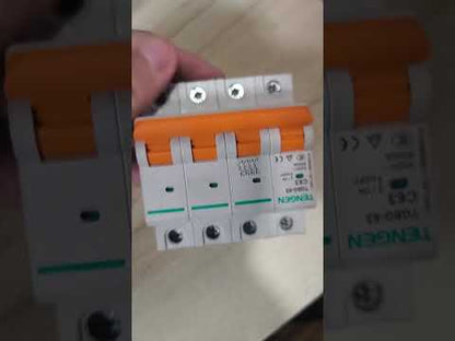 Tengen 63A 4Pole Miniature Circuit Breaker 6KAIC 220VAC MCCB 60Hz TGBG-63 63A4P Electx Electrical supply