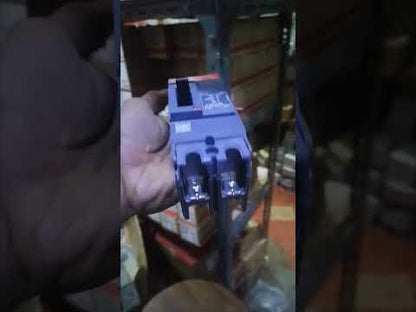 Schneider 50A 2 Pole Breaker Industrial Easy Pact Industrial Circuit Breaker 25KAIC 250V EZC100H2050 MCCB