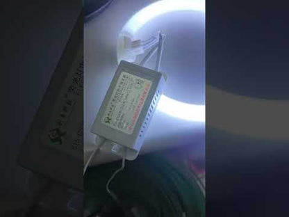 22W - 32W 220V Electronic Ballast for Circular Lamp T5 or T8