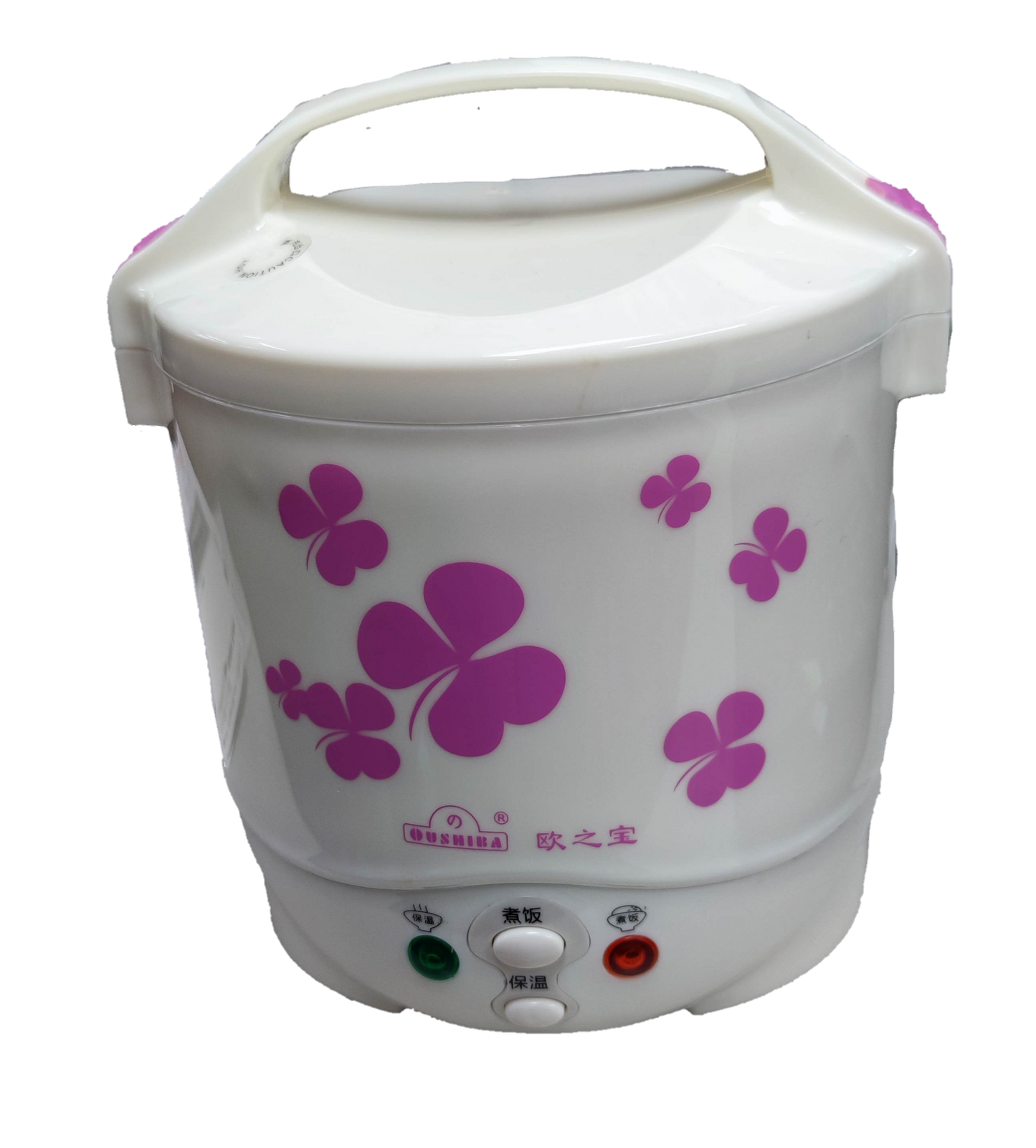 Compact Rice Cooker 1 Liter 12V DC with Floral Design and Easy-to-Use Controls