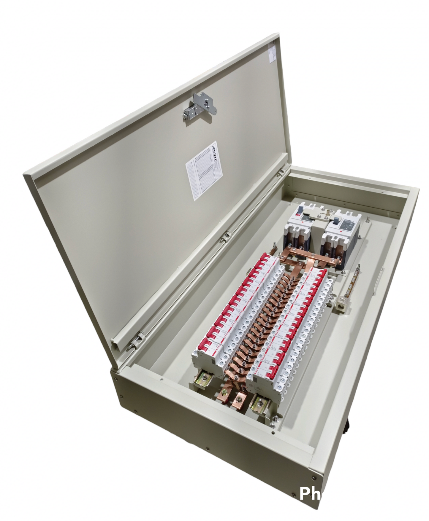 Chint 200A 2 pole main MCCB panel board open metal enclosure showing busbars breakers and terminals