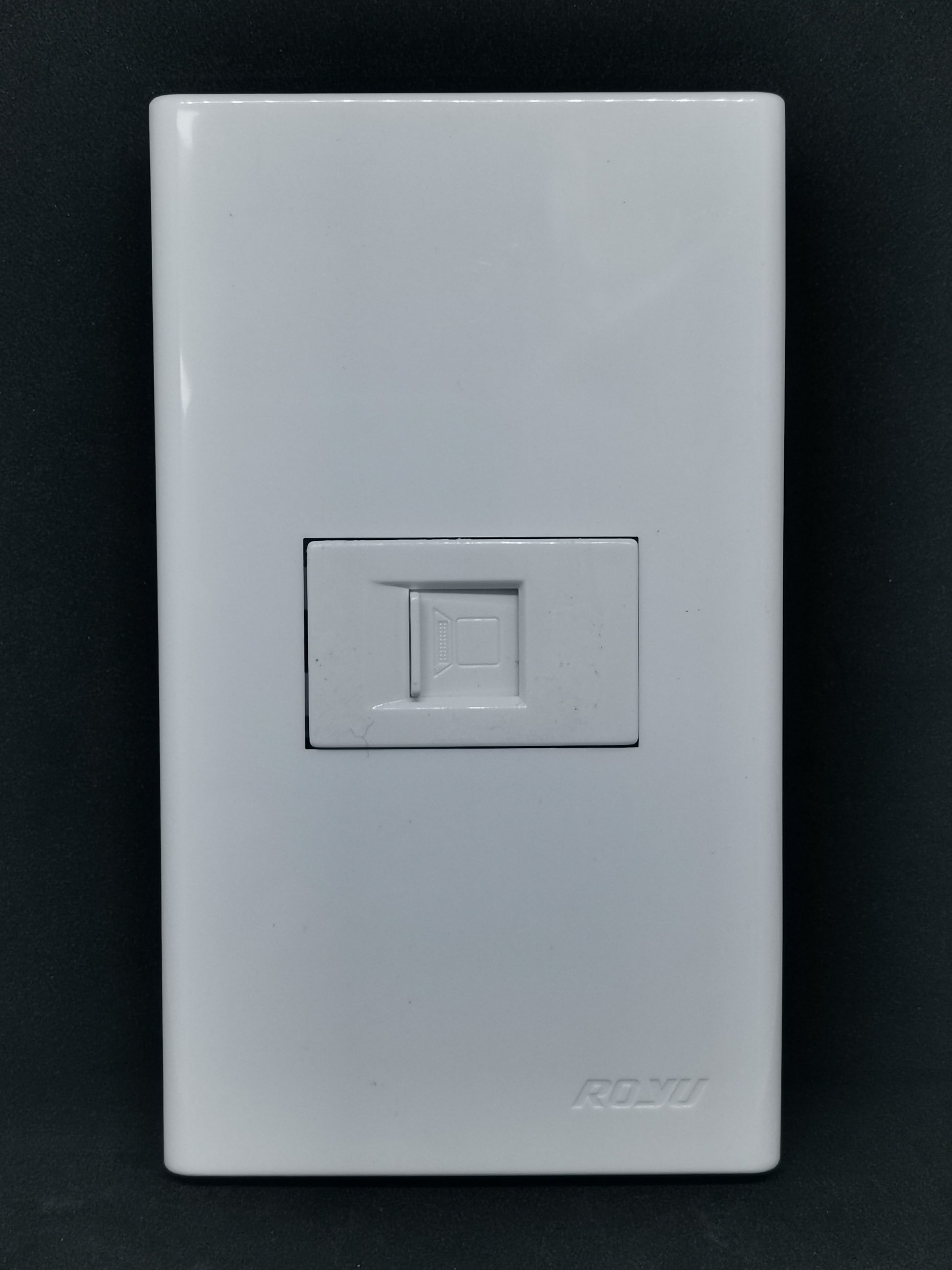 Royu white wall plate with single RJ45 keystone jack 1 Gang LAN Outlet Cat5e for home network