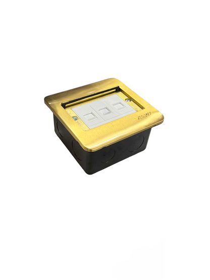 Royu Floor Outlet TEL and 2 LAN Outlet with brass frame for clean cable management