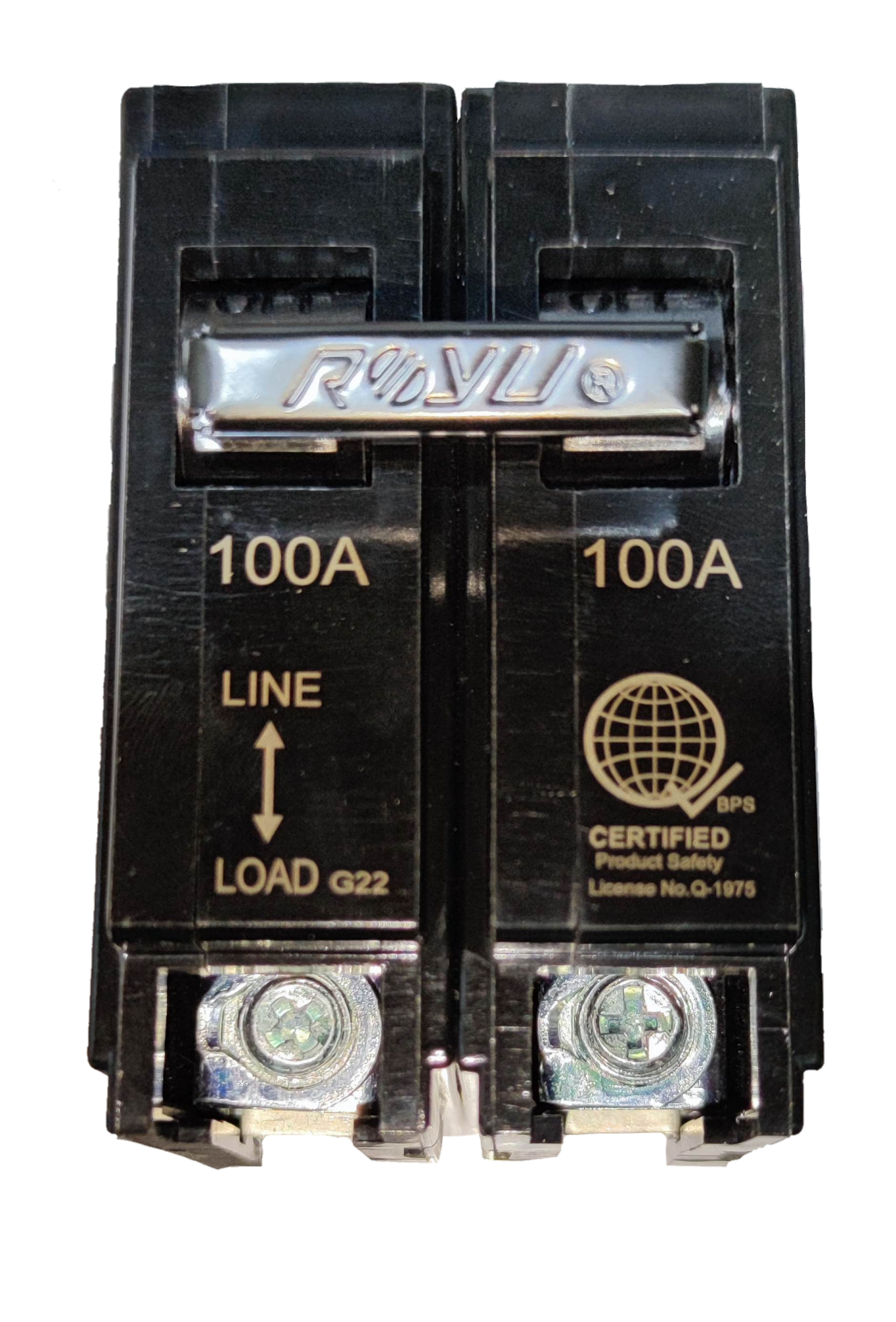 Royu 100A circuit breaker 2 pole 6KAIC 220V for safe electrical circuit protection