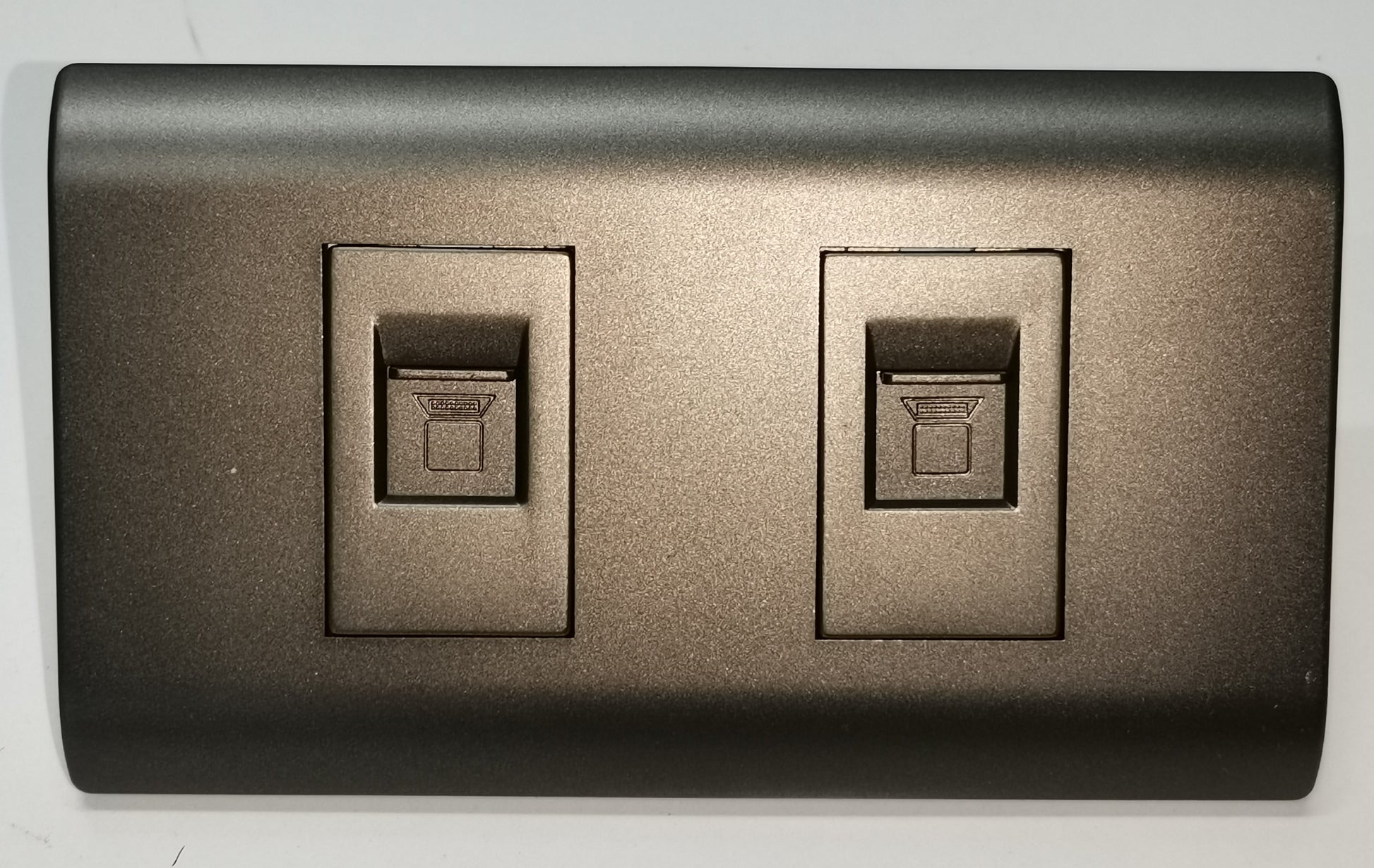 Royu 2 Gang LAN Outlet with Plate in black for network connectivity and electrical circuitry