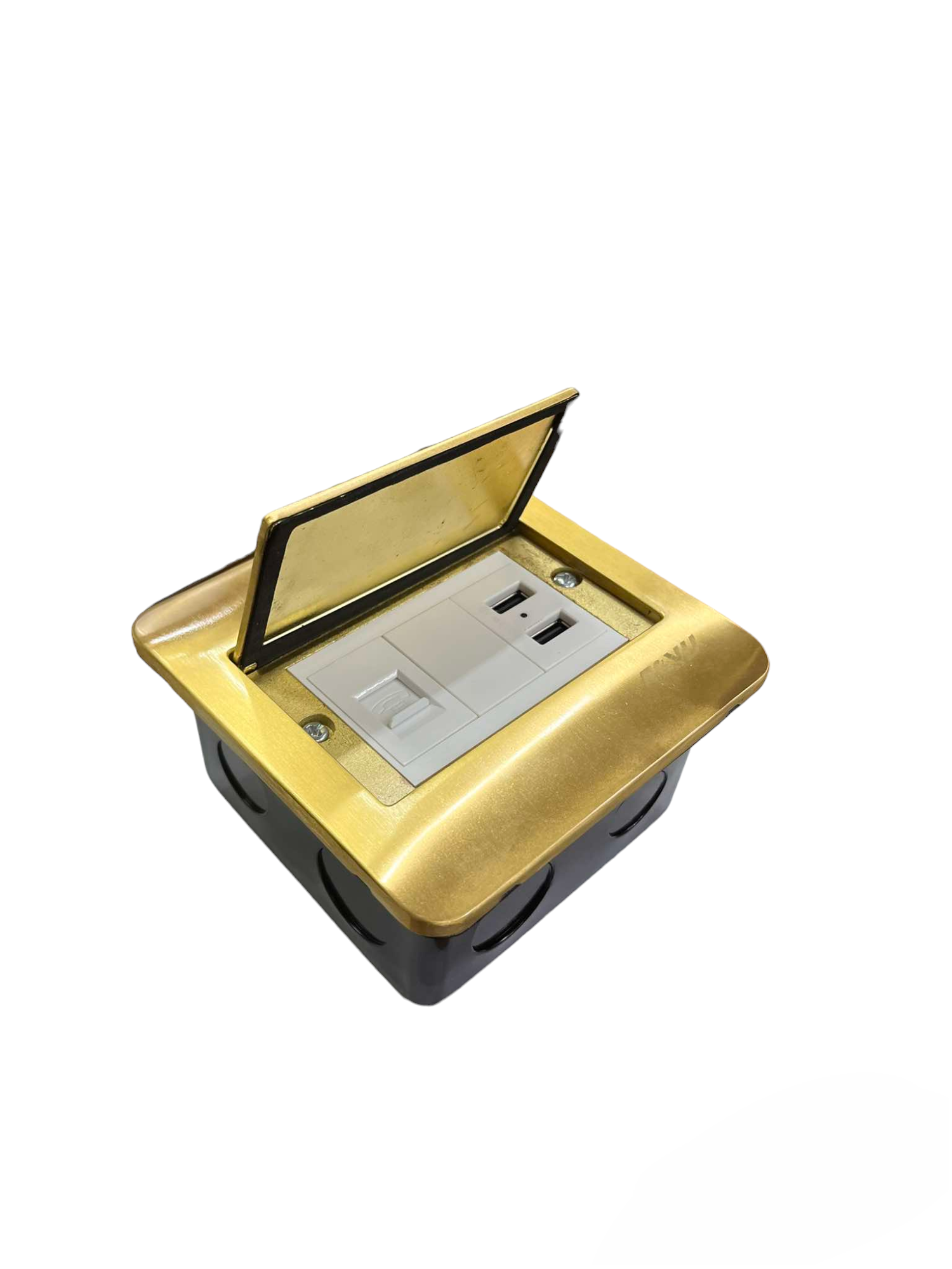 Royu Floor Outlet 2 Port USB Outlet 2100mAh with gold cover and dual power sockets