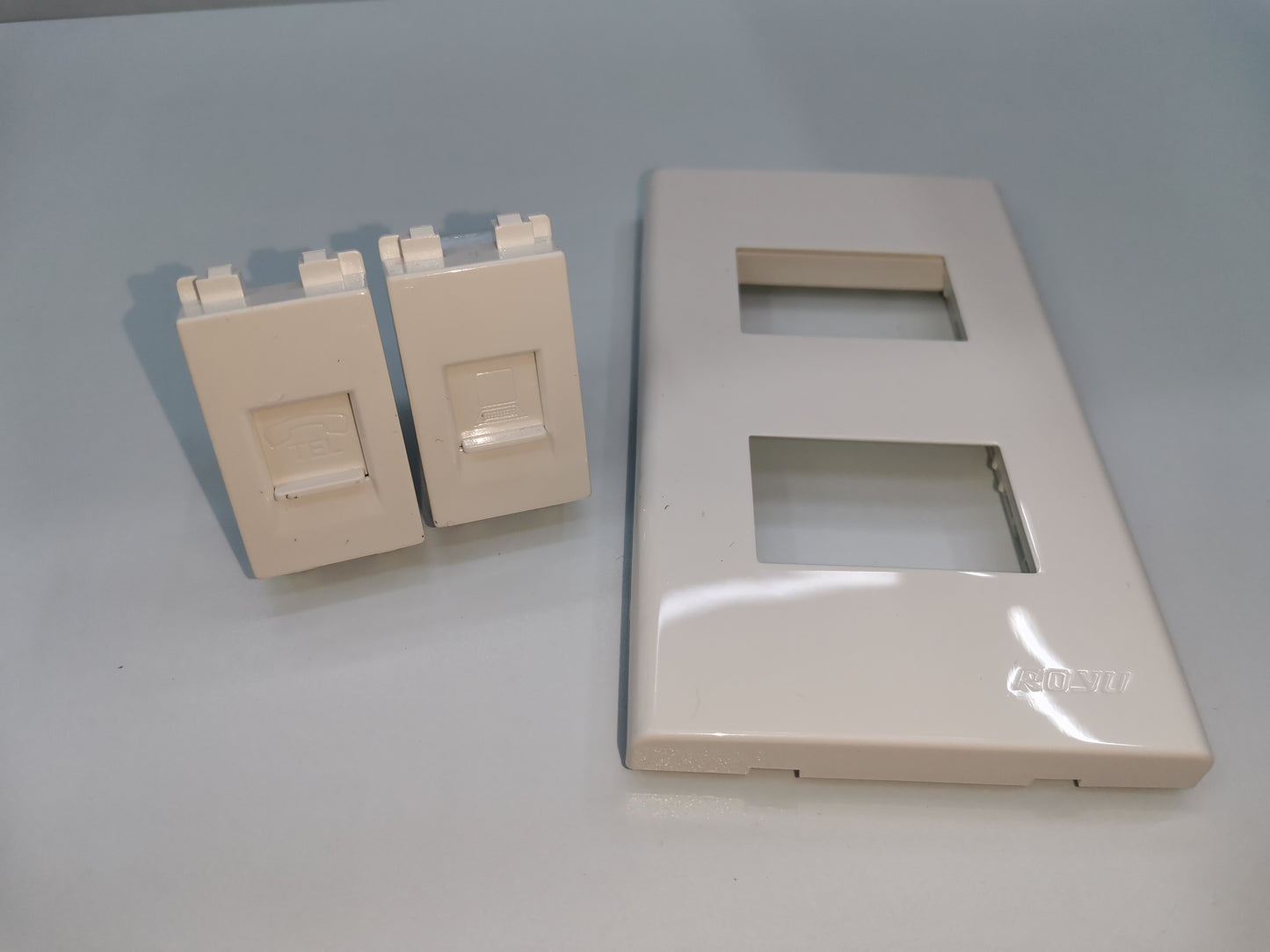 Royu network and phone wall plate with two modular jacks for network and phone connections