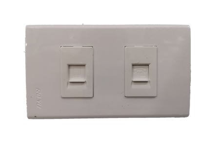 Royu network and phone wall plate with dual ports for network and telephone connections in white