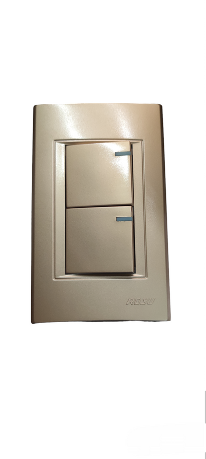 Royu Switch Flush Type 1 Way 10A 250V beige double rocker switch with flush design