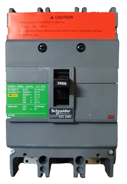 Schneider 250A 2 Pole Breaker Industrial Easy Pact electrical circuit breaker in gray and black