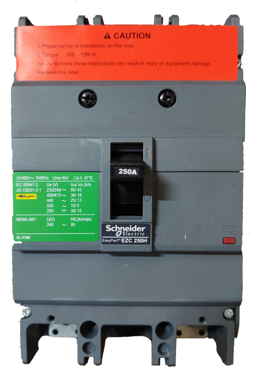 Schneider 250A 2 Pole Breaker Industrial Easy Pact electrical circuit breaker in gray and black