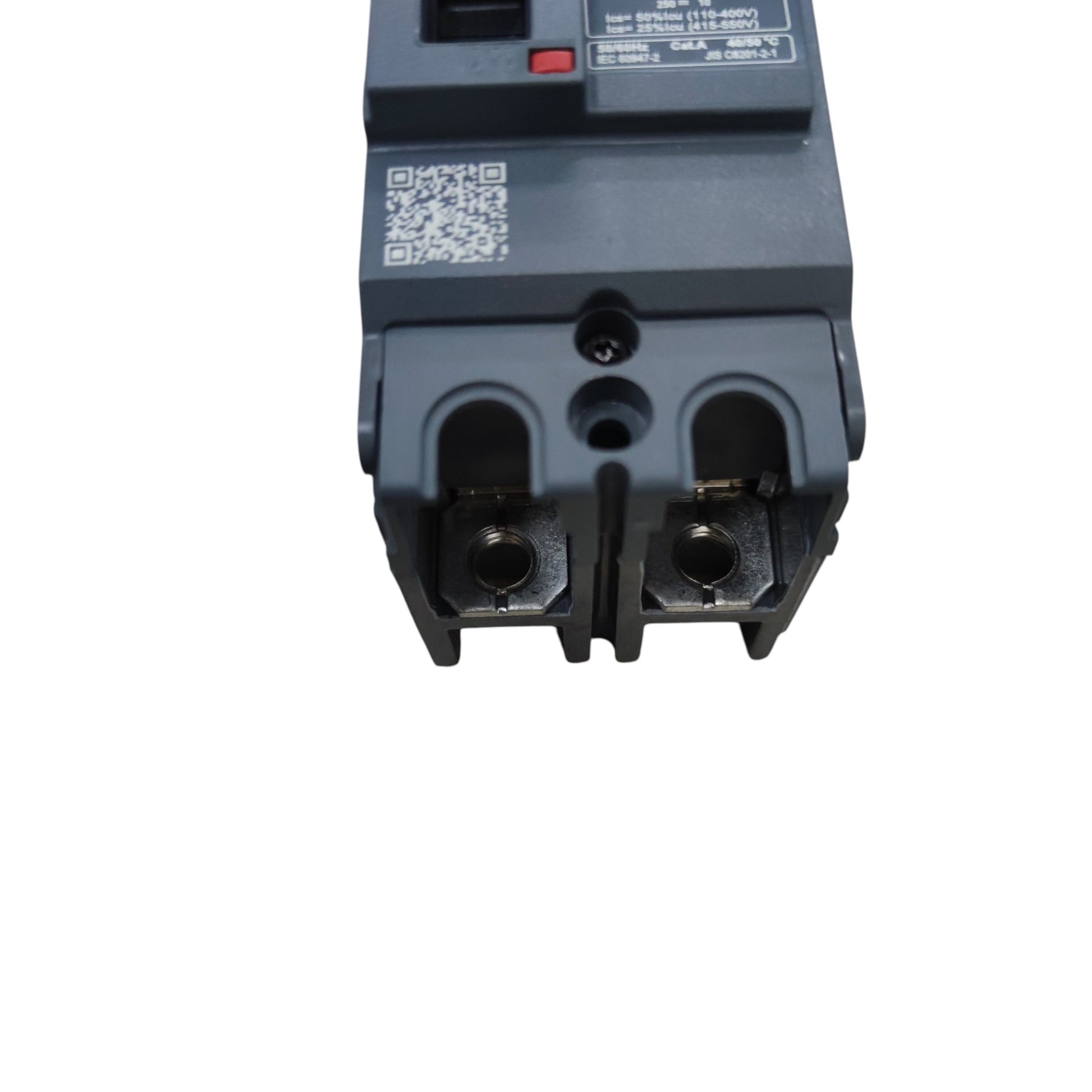 Schneider 100A 2 Pole Breaker Industrial Easy Pact close-up of electrical circuitry component