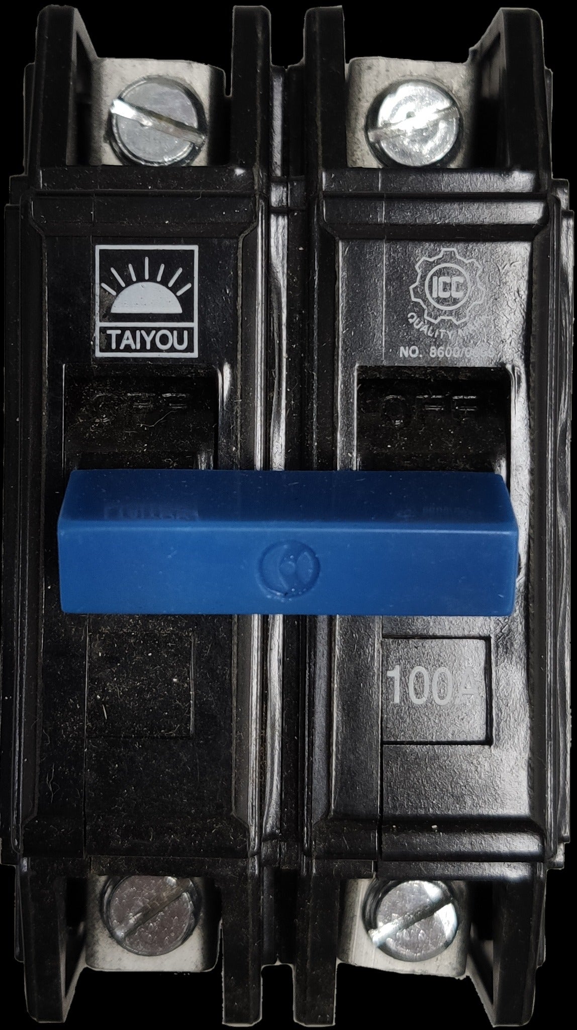 Taiyou 100A 2 pole circuit breaker with blue switch and black casing for electrical protection