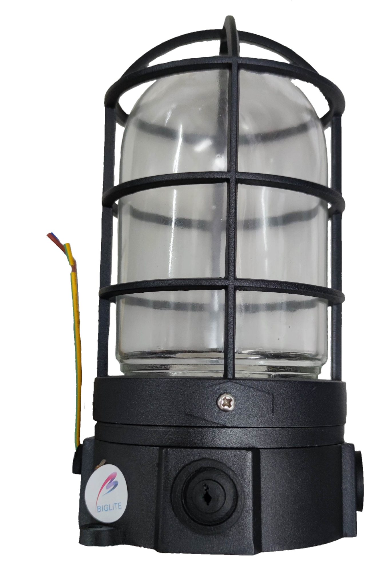 Biglite vapor proof lamp fixture with protective black metal cage and clear glass cover for lighting installation