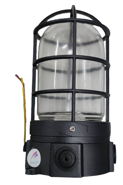 Biglite vapor proof lamp fixture with protective black metal cage and clear glass cover for lighting installation