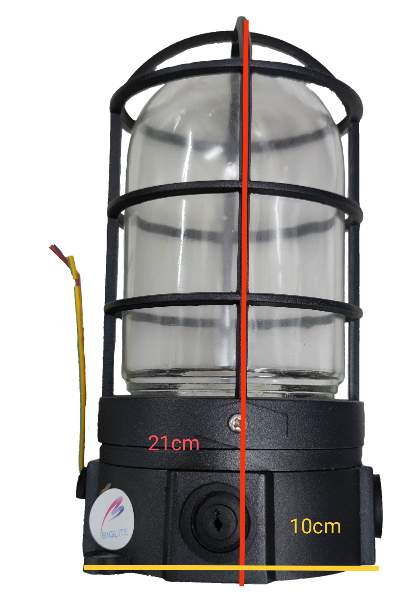 Biglite vapor proof lamp fixture with durable protective cage and clear glass enclosure for wet environments