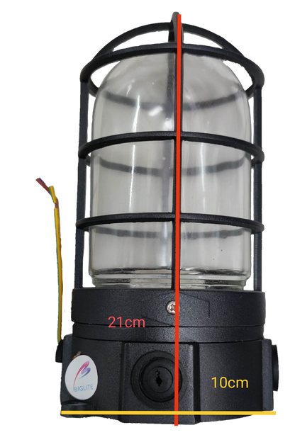 Biglite vapor proof lamp fixture with durable protective cage and clear glass enclosure for wet environments