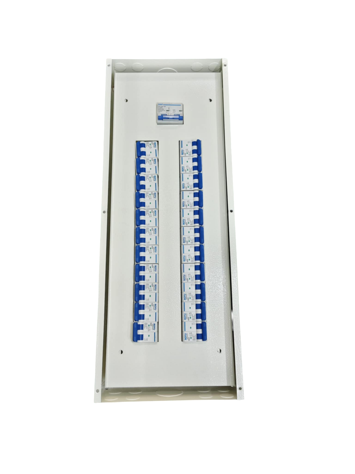 Chint 100A panel board 2 pole with multiple circuit breakers installed in a white enclosure