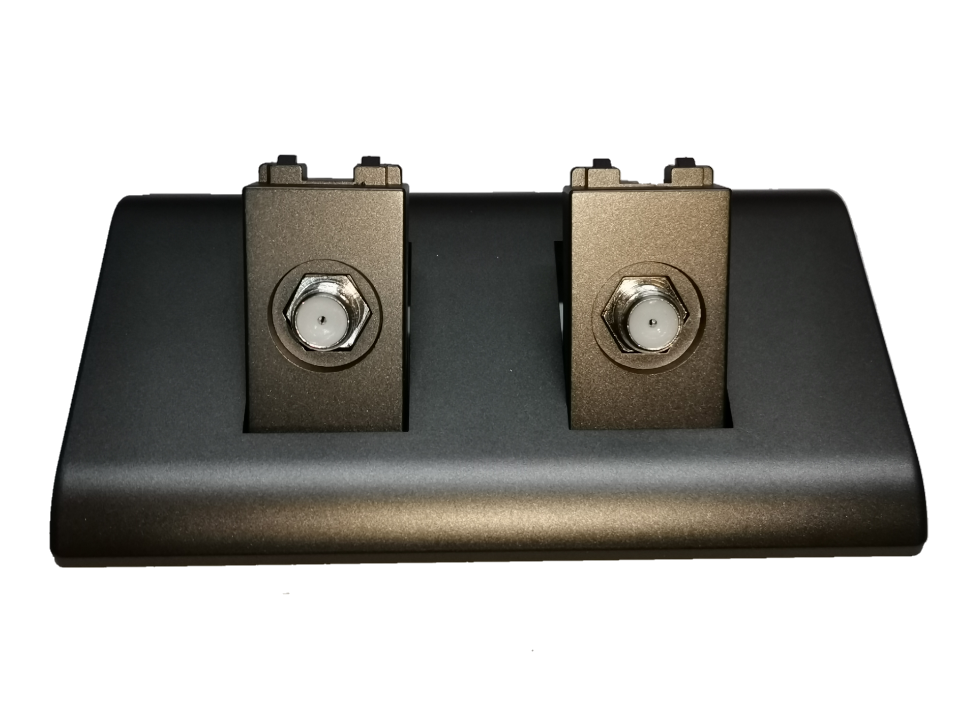 Electx Electrical Supply 2 gang cable TV outlet with dual connectors and metallic finish