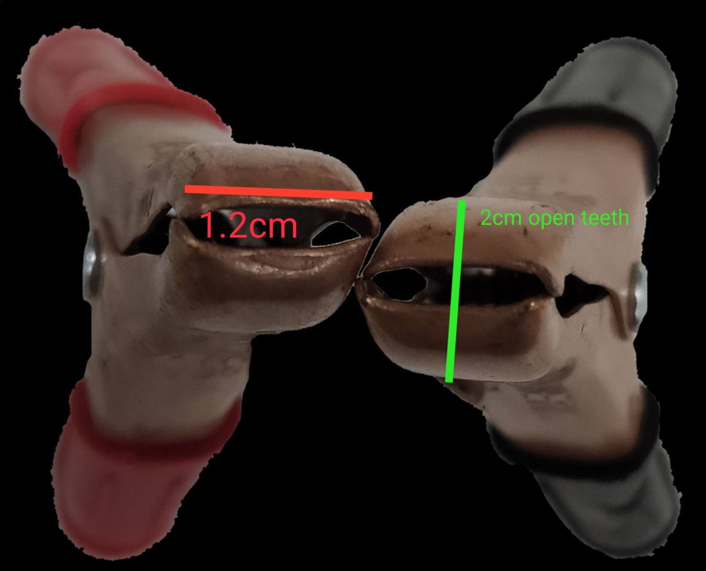 Panther battery clip 25 amp showing 2cm open teeth and 1.2cm grip for secure connections