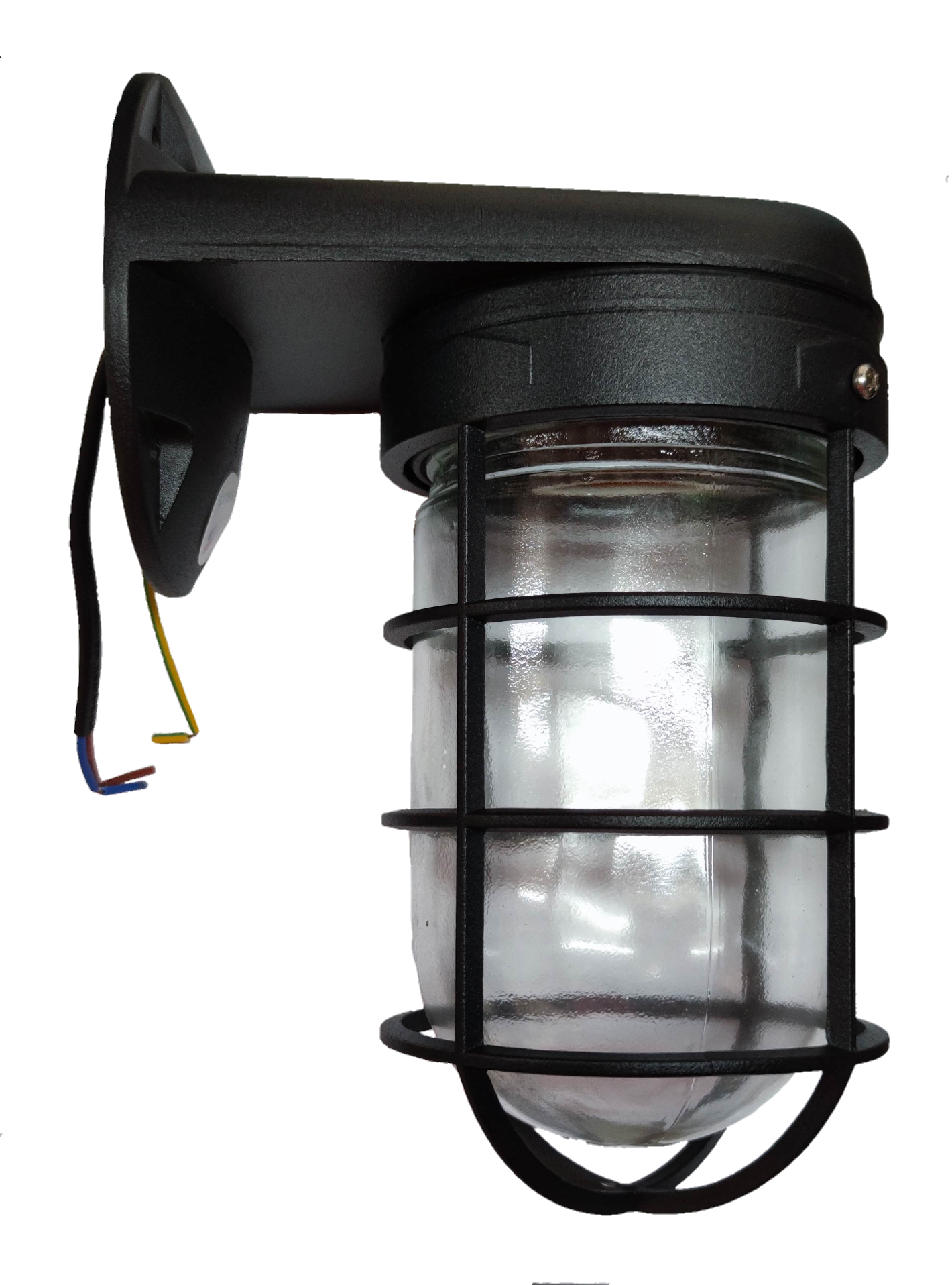 Biglite black wall mounted vapor lamp with protective cage and glass cover for outdoor lighting