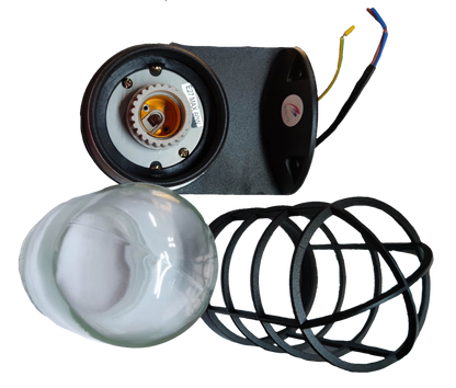 Biglite wall mounted vapor lamp with mounting bracket, bulb, and protective cage accessories