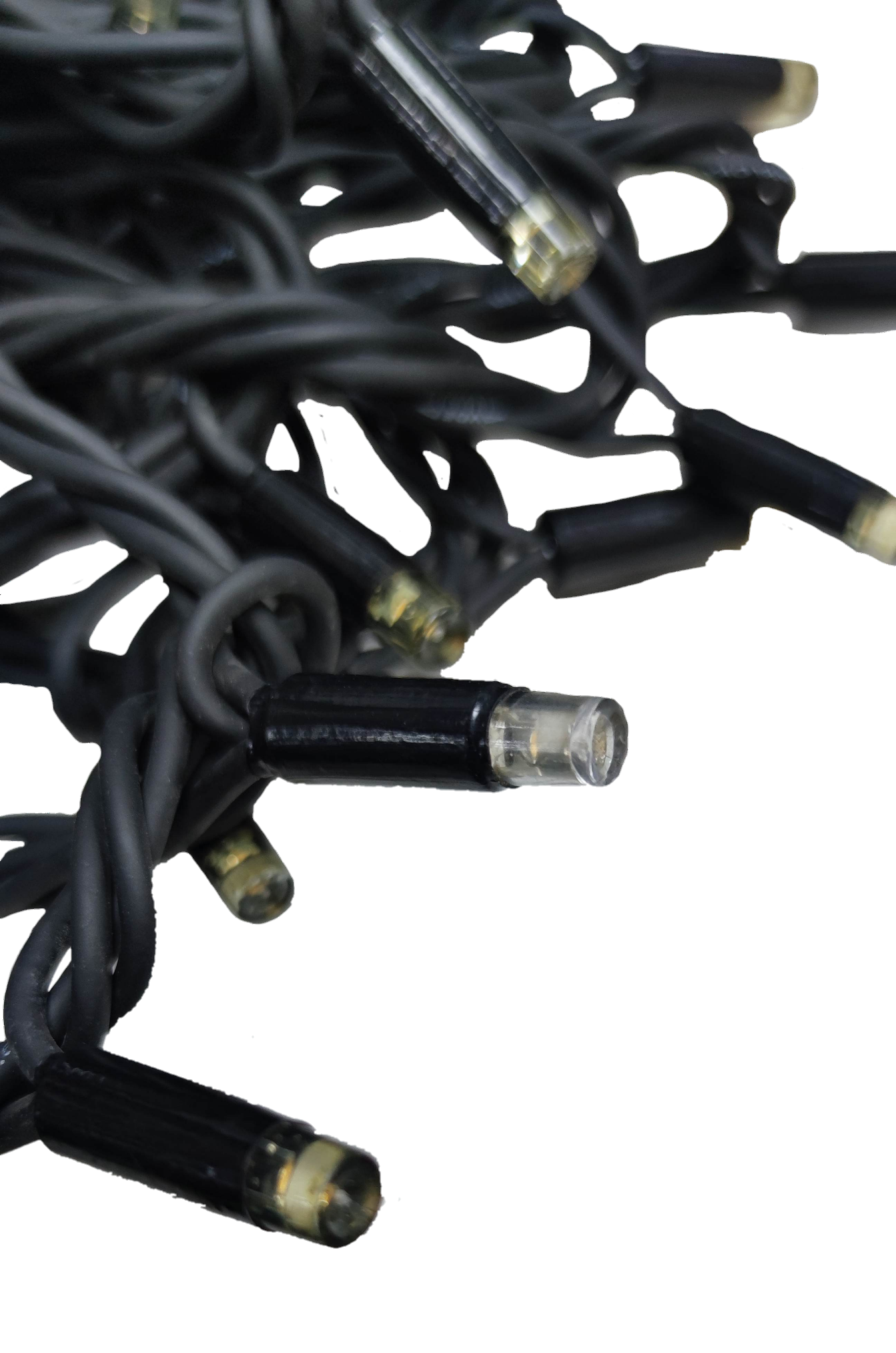 Close-up of weatherproof LED string lights 10 meters showcasing durable black wiring and bright bulbs