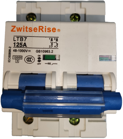 ZwitseRise 125A 2P Miniature Circuit Breaker electrical component with blue switches