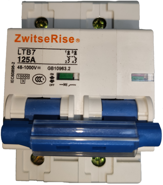 ZwitseRise 125A 2P Miniature Circuit Breaker electrical component with blue switches